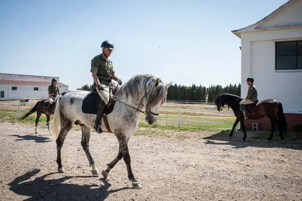 Centro Militar de Cría Caballar Imágenes