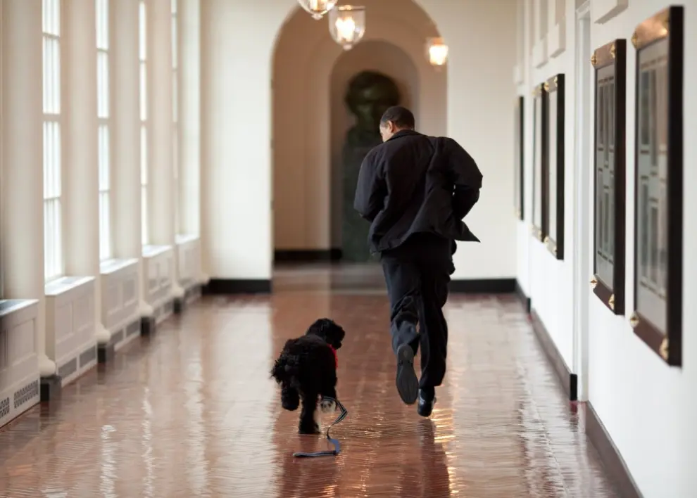 Los ocho años de Barack Obama en la Casa Blanca