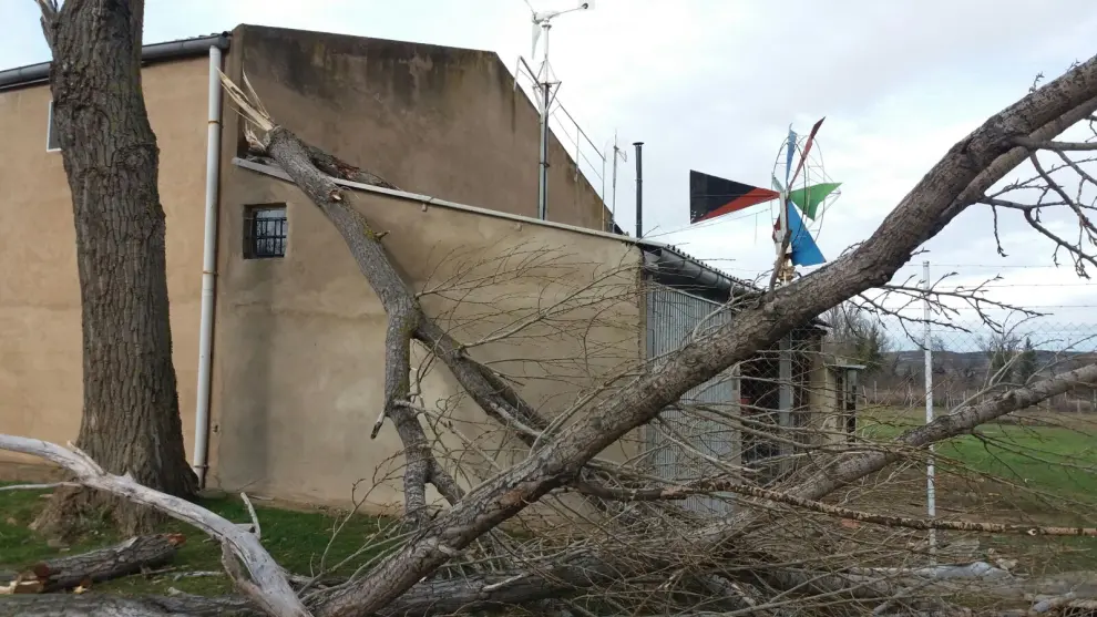 Destrozos causados por el viento en la provincia de Zaragoza