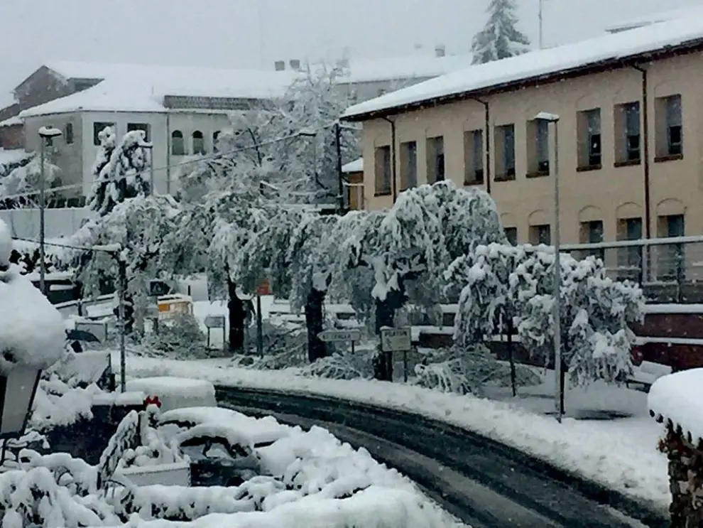 Árboles rotos con desprendimiento de ramas frente al colegio de Benabarre por el temporal de nieve. El servicio de luz se ha visto afectado en algunas calles del casco urbano.