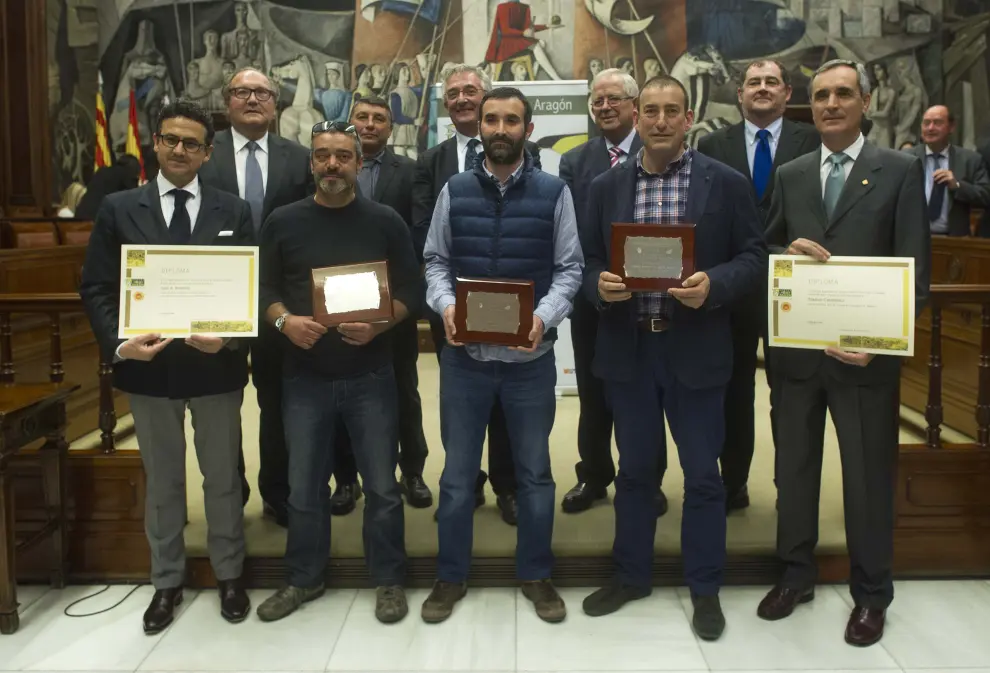 Los premiados, junto a las autoridades y los patrocinadores que asistieron a la entrega de los galardones en la Diputación de Zaragoza.