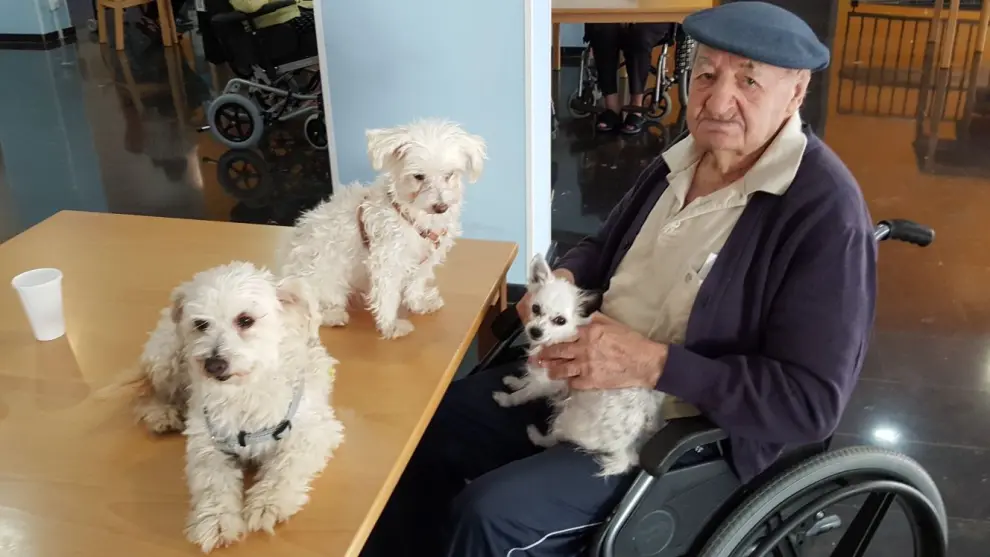 Terapia con perros para 'olvidarse' del alzhéimer en la Residencia Delicias de la Fundación Rey Ardid.