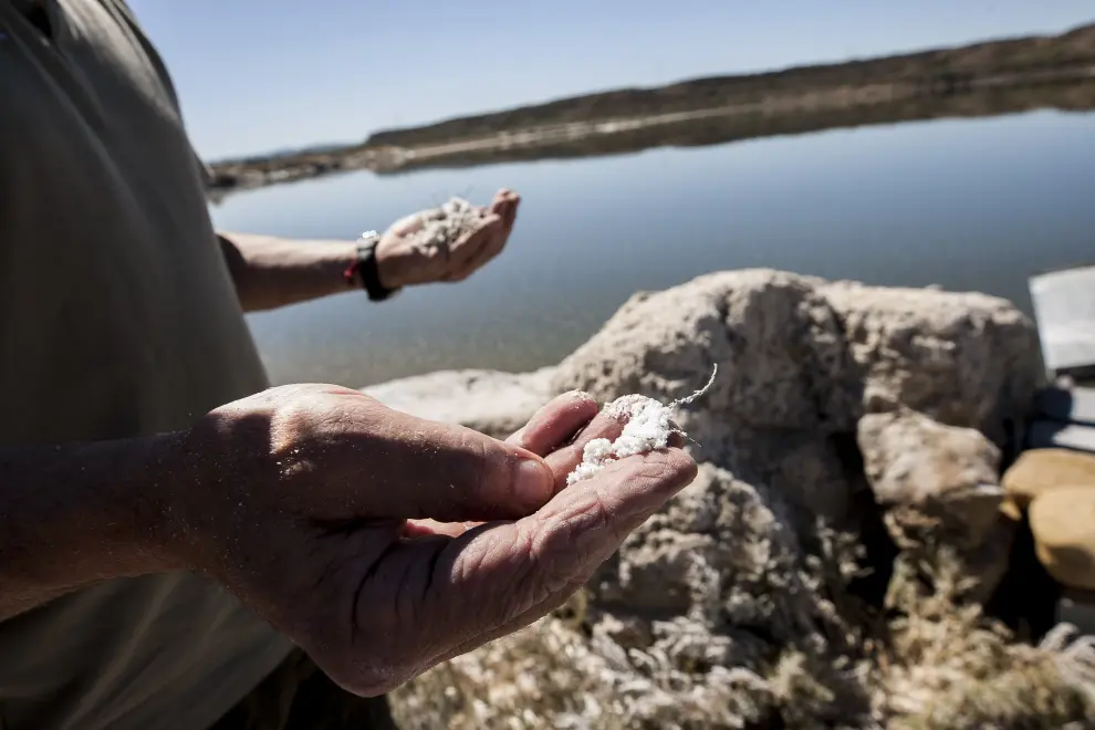Alfredo Legaz sostiene sal sacada de la orilla en la reserva natural.