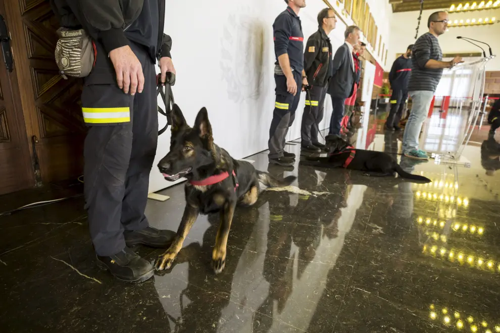 Nueva unidad canina de Bomberos de Zaragoza