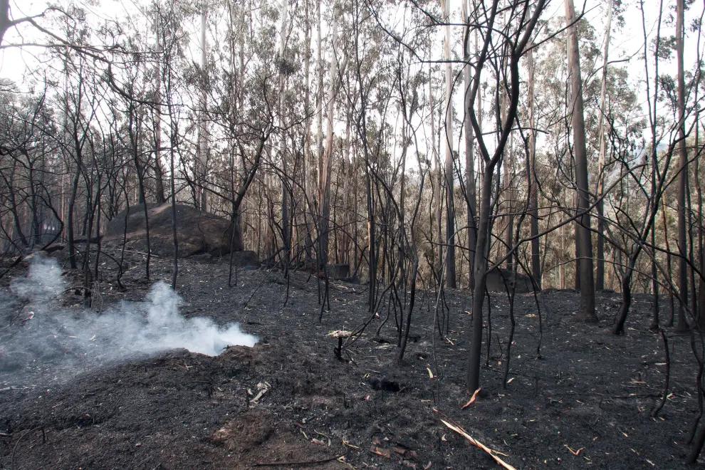 35.500 hectáreas se han quemado en Galicia.