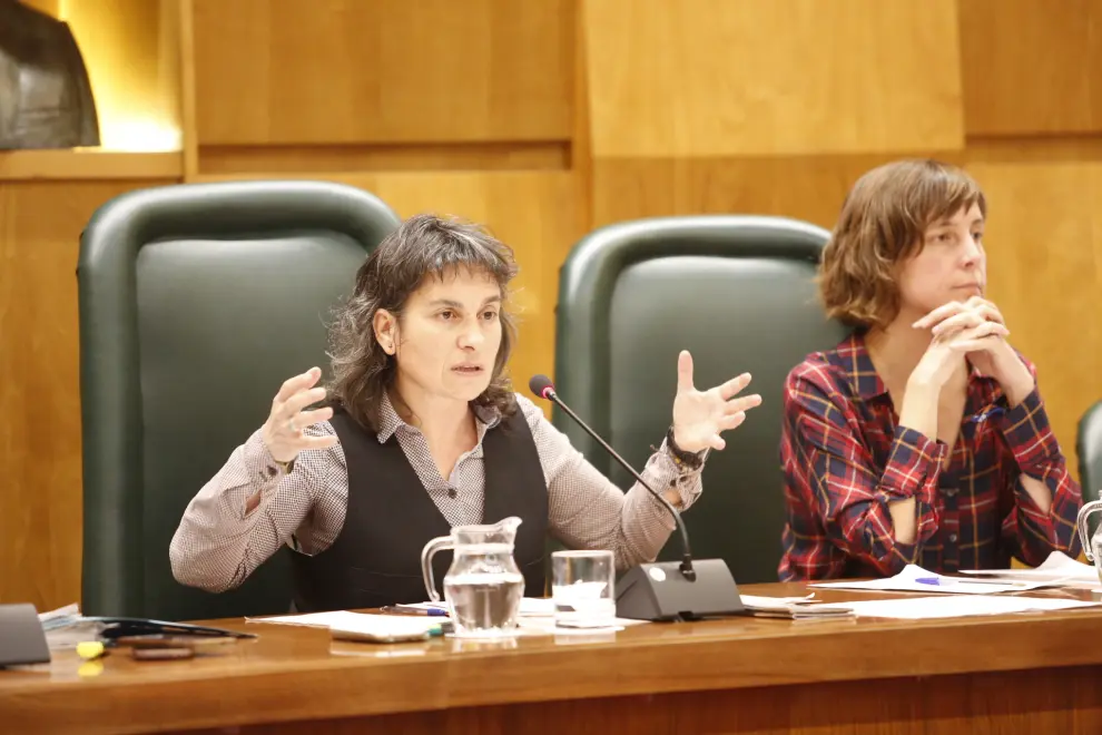 Comisión en el Ayuntamiento de Zaragoza sobre el folleto de drogas