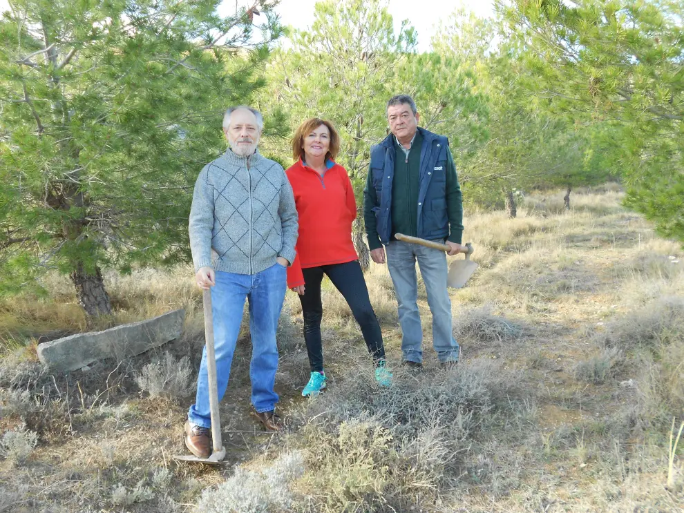 05 Manuel Lozano, Inmaculada Sierra y Rafael Gil junto a los pinos que se plantaron en las primeras ediciones del Día del Árbol.