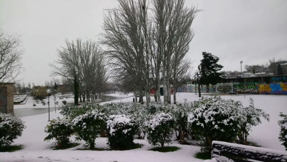Este miércoles Zaragoza ha amanecido cubierta por una fina capa de nieve