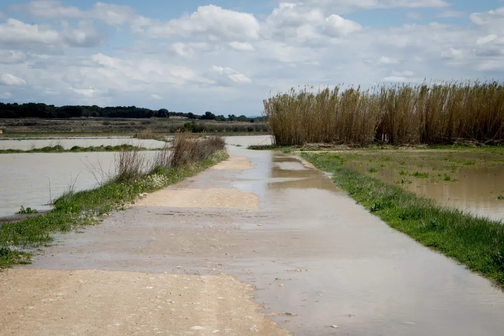 La crecida del Ebro en Novillas