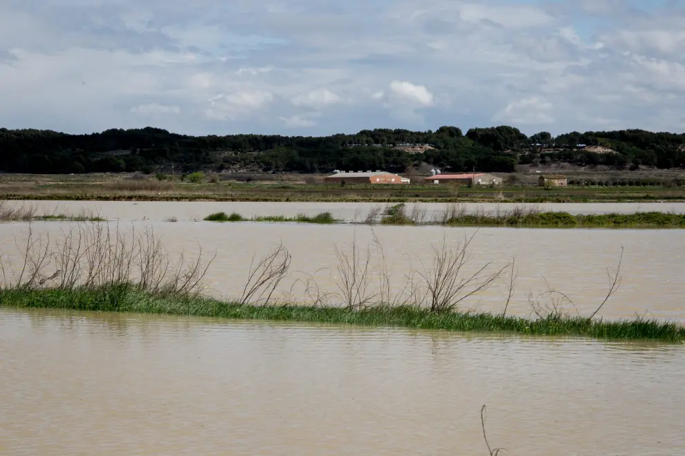 La crecida del Ebro en Novillas