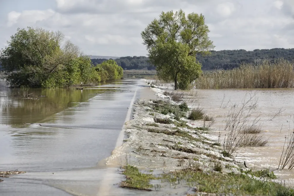 La crecida del Ebro el sábado 14 de abril