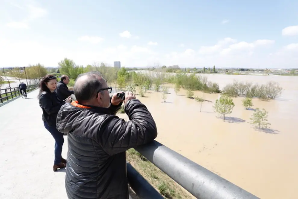 La crecida del Ebro el sábado 14 de abril en Vadorrey