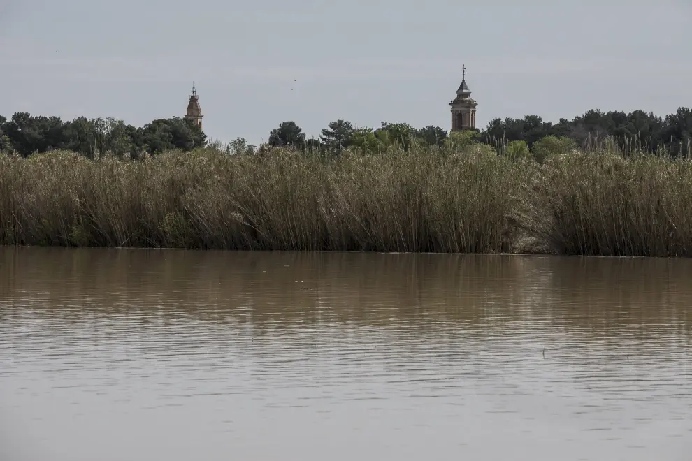 Crecida del Ebro en Pina