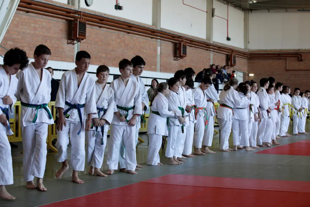 Judo. Campeonato de Aragón Alevín