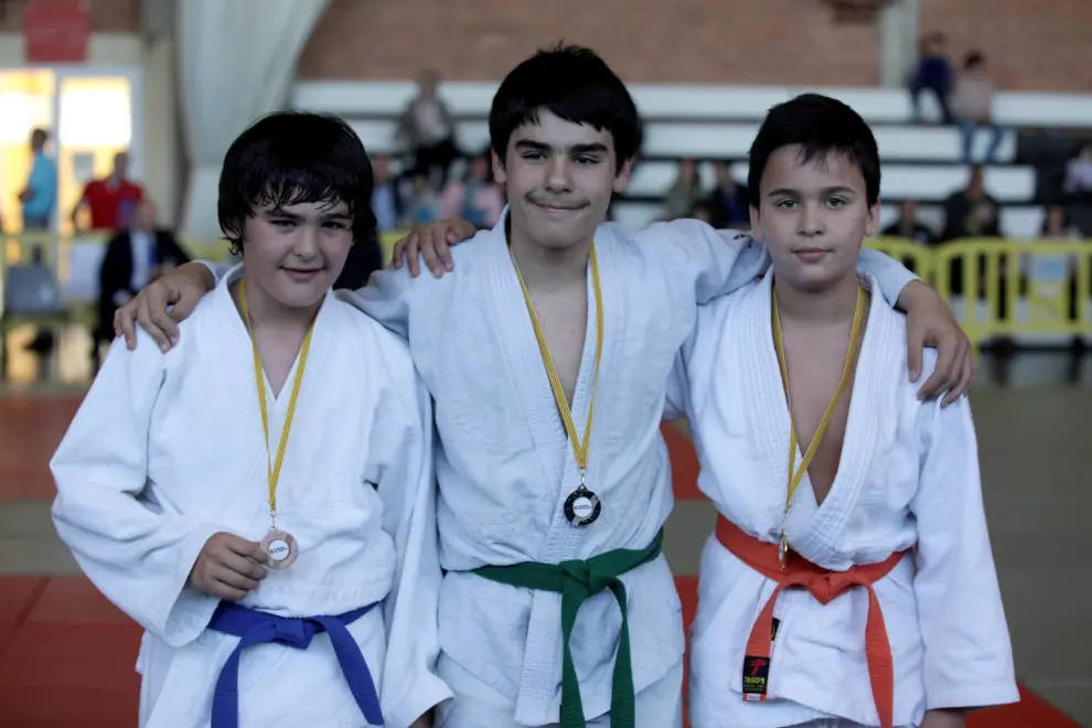 Judo. Campeonato de Aragón Alevín