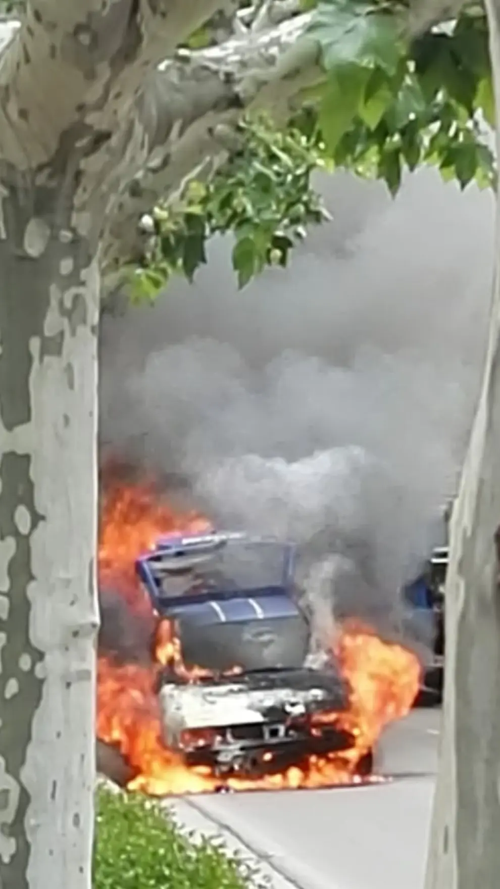 El coche ardiendo en el paseo de Calatayud.