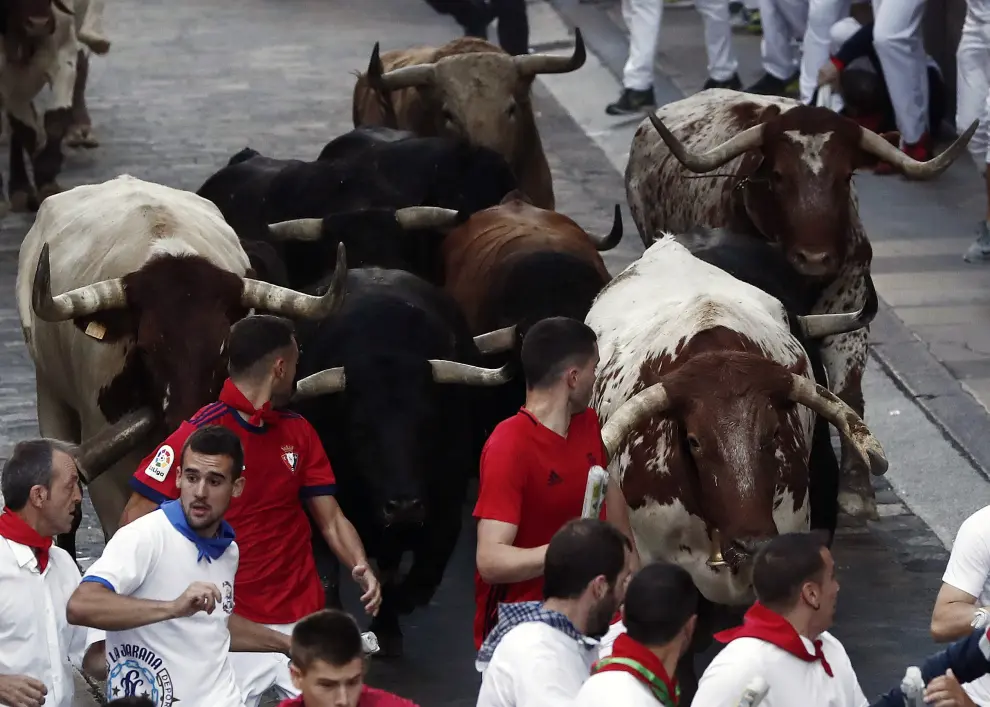 Los toros de la ganadería gaditana Fuente Ymbro suben la cuesta de Santo Domingo