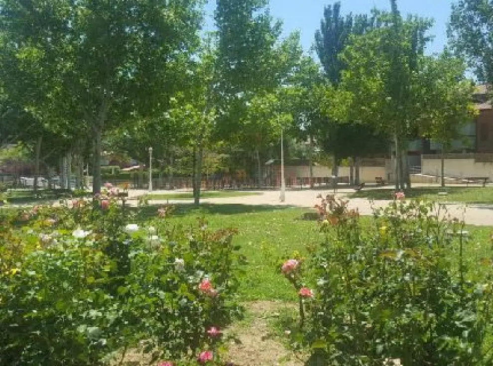 Parterres de rosas en un parque de Cuarte de Huerva, Zaragoza.