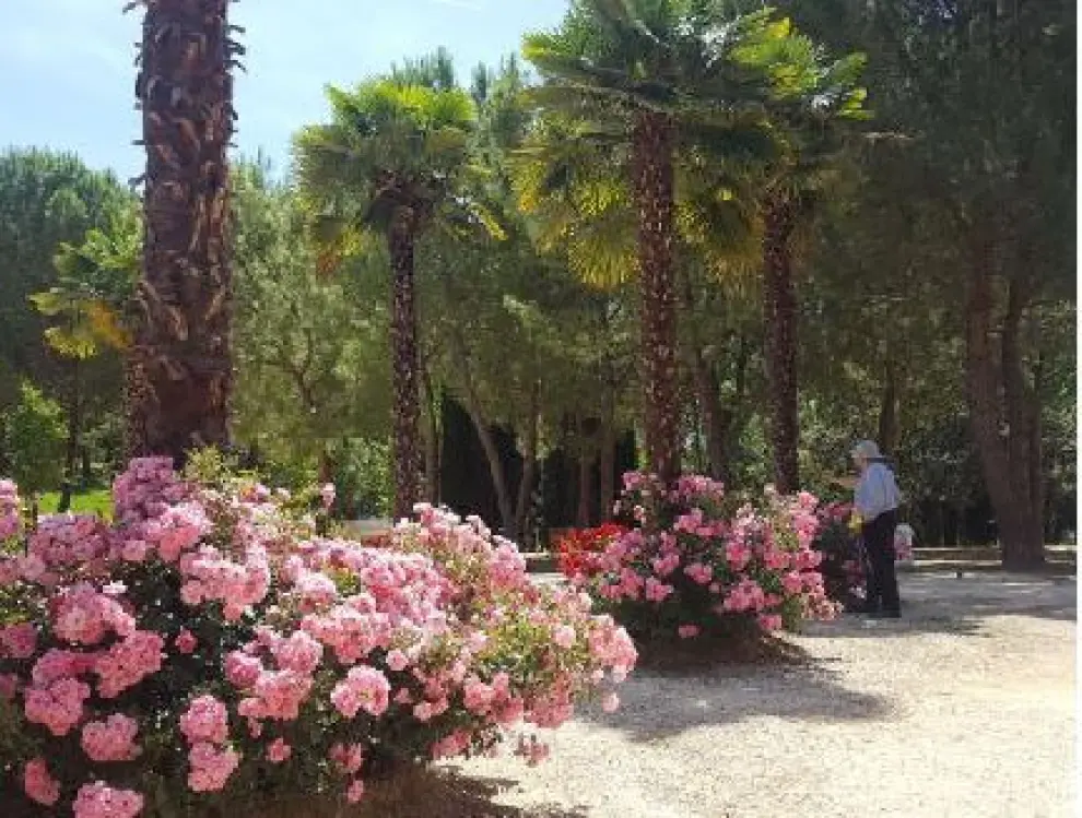 Un hermoso parque florido en la localidad oscense de Barbastro.