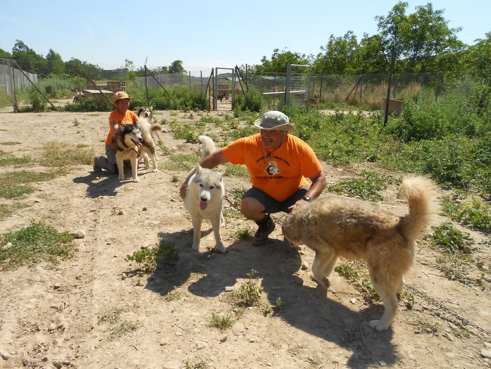 Jaime y Susana con algunos de sus perros en sus instalaciones torrellanas