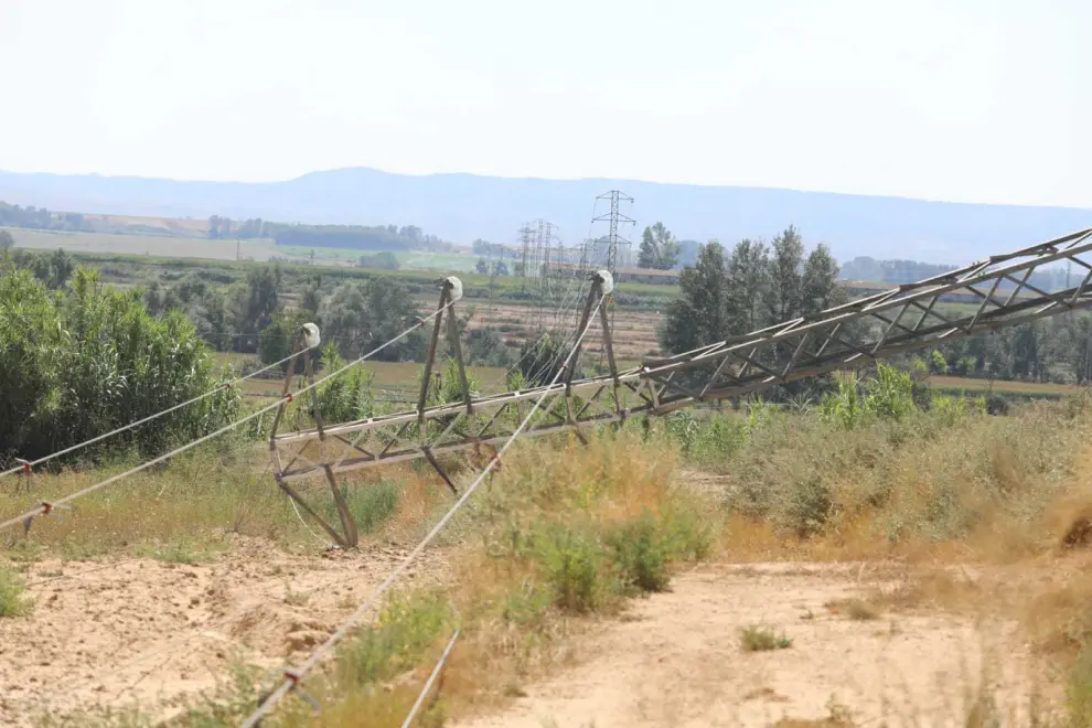 La tormenta en Monegros derribó árboles y torres eléctricas