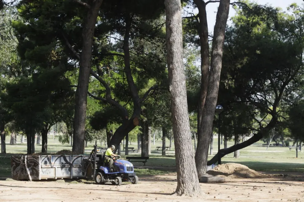 El parque Tío Jorge reabre tras concluir la revisión del arbolado