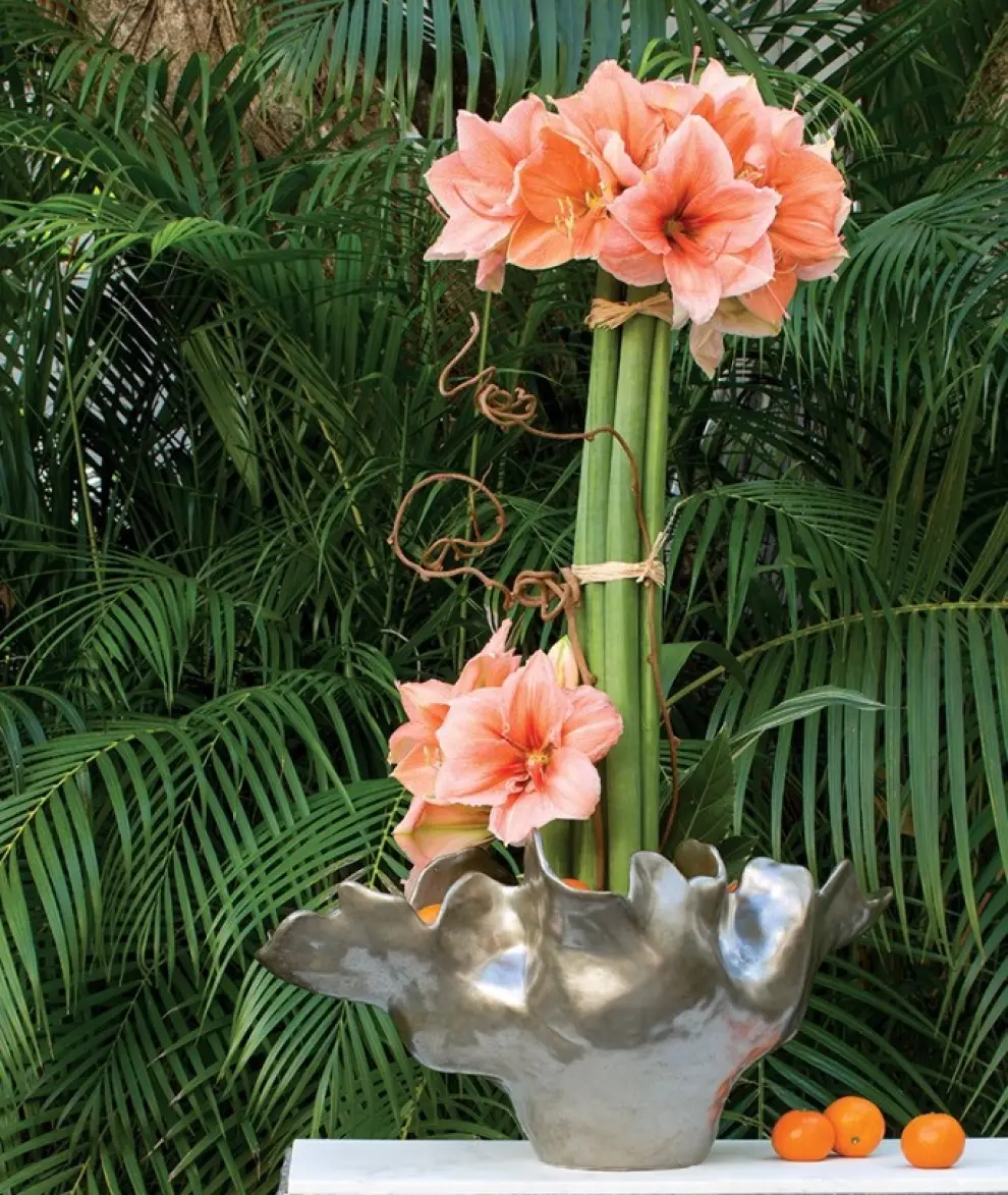 AMARILIS. La amarilis es una flor muy contundente, que brota de un bulbo y que siempre sorprende por su gran tamaño. En su variedad 'rilona' tiene un tono coral que coincide con el propuesto como color de moda para este año. La foto es de Tom Mathieu.