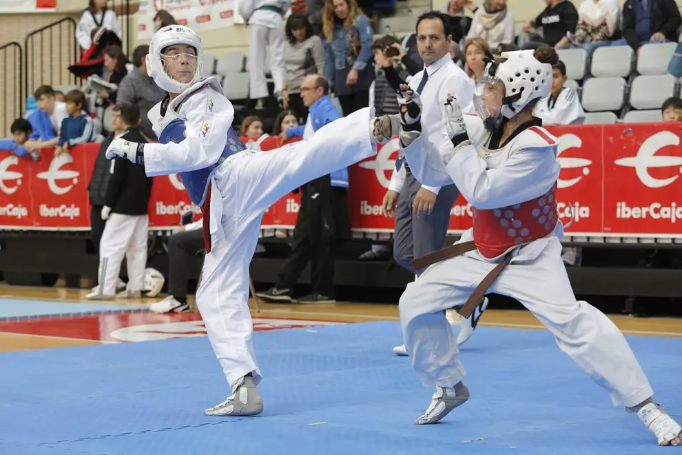 IV Trofeo Ibercaja-Ciudad de Zaragoza de taekwondo