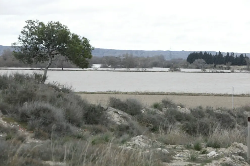 La crecida del Ebro, a su paso por El Burgo de Ebro.