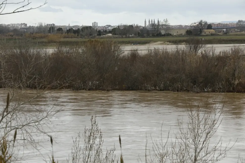 La crecida del Ebro, a su paso por La Cartuja.