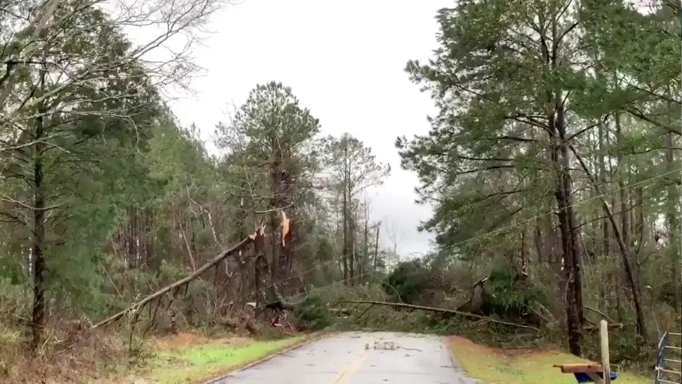 Fallen trees lie across a road following a tornado in Beauregard, Alabama, U.S. in this March 3, 2019 still image obtained from social media video. SCOTT FILLMER /via REUTERS ATTENTION EDITORS - THIS IMAGE HAS BEEN SUPPLIED BY A THIRD PARTY. MANDATORY CREDIT. NO RESALES. NO ARCHIVES. MUST CREDIT SCOTT FILLMER. TV MUST ON SCREEN COURTESY SCOTT FILLMER. [[[REUTERS VOCENTO]]]