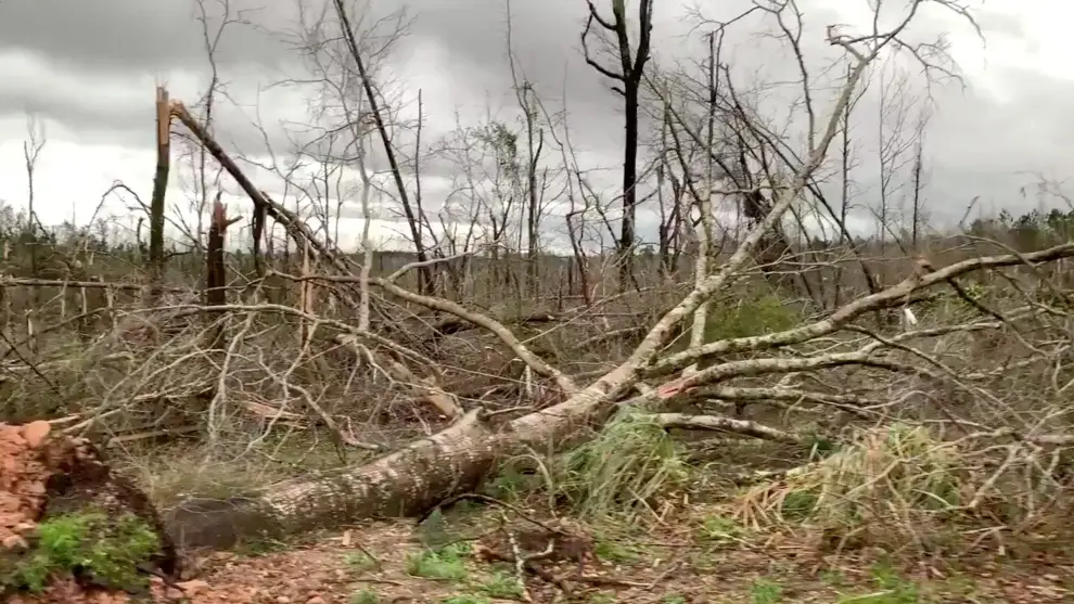 Fallen trees obstruct a road following a tornado in Beauregard, Alabama, U.S. in this March 3, 2019 still image obtained from social media video. SCOTT FILLMER /via REUTERS ATTENTION EDITORS - THIS IMAGE HAS BEEN SUPPLIED BY A THIRD PARTY. MANDATORY CREDIT. NO RESALES. NO ARCHIVES. MUST CREDIT SCOTT FILLMER. TV MUST ON SCREEN COURTESY SCOTT FILLMER. [[[REUTERS VOCENTO]]]