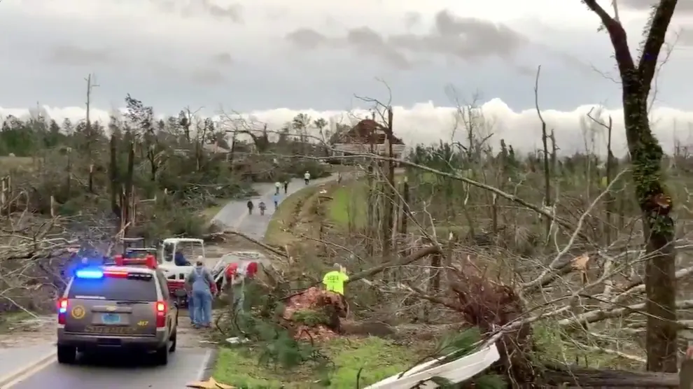 Damaged and fallen trees seen following a tornado in Beauregard, Alabama, U.S. in this March 3, 2019 still image obtained from social media video. SCOTT FILLMER /via REUTERS ATTENTION EDITORS - THIS IMAGE HAS BEEN SUPPLIED BY A THIRD PARTY. MANDATORY CREDIT. NO RESALES. NO ARCHIVES. MUST CREDIT SCOTT FILLMER. TV MUST ON SCREEN COURTESY SCOTT FILLMER. [[[REUTERS VOCENTO]]]