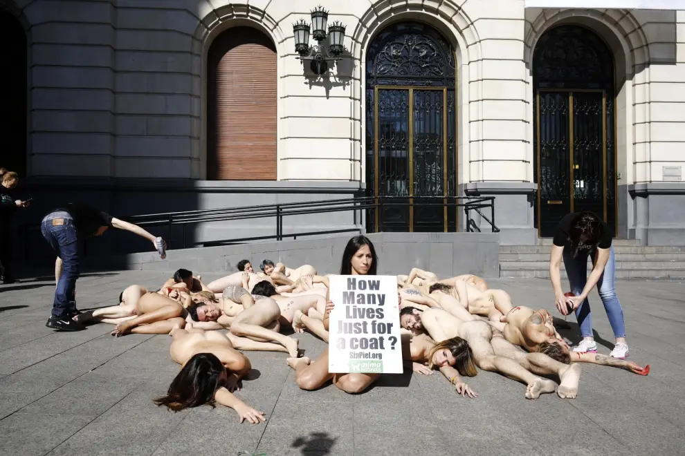 Protesta contra la industria peletera
