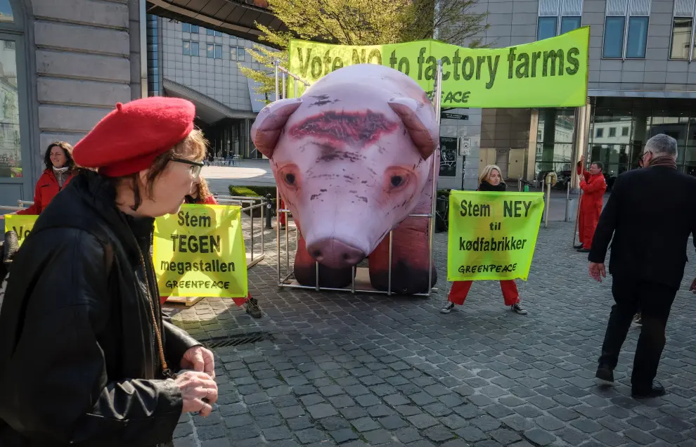 Un cerdo gigante para protestar contra la ganadería intensiva
