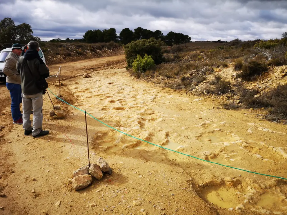 Excursión para conocer los yacimientos fósiles de Pueblo de Albortón.