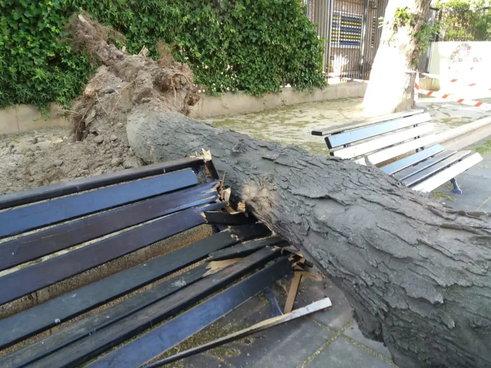 Un árbol cae sobre un banco en Tenerías.