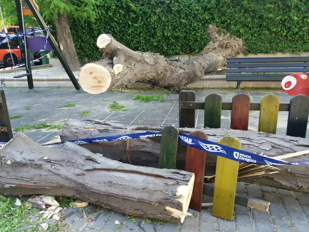 Un árbol cae sobre un banco en Tenerías.