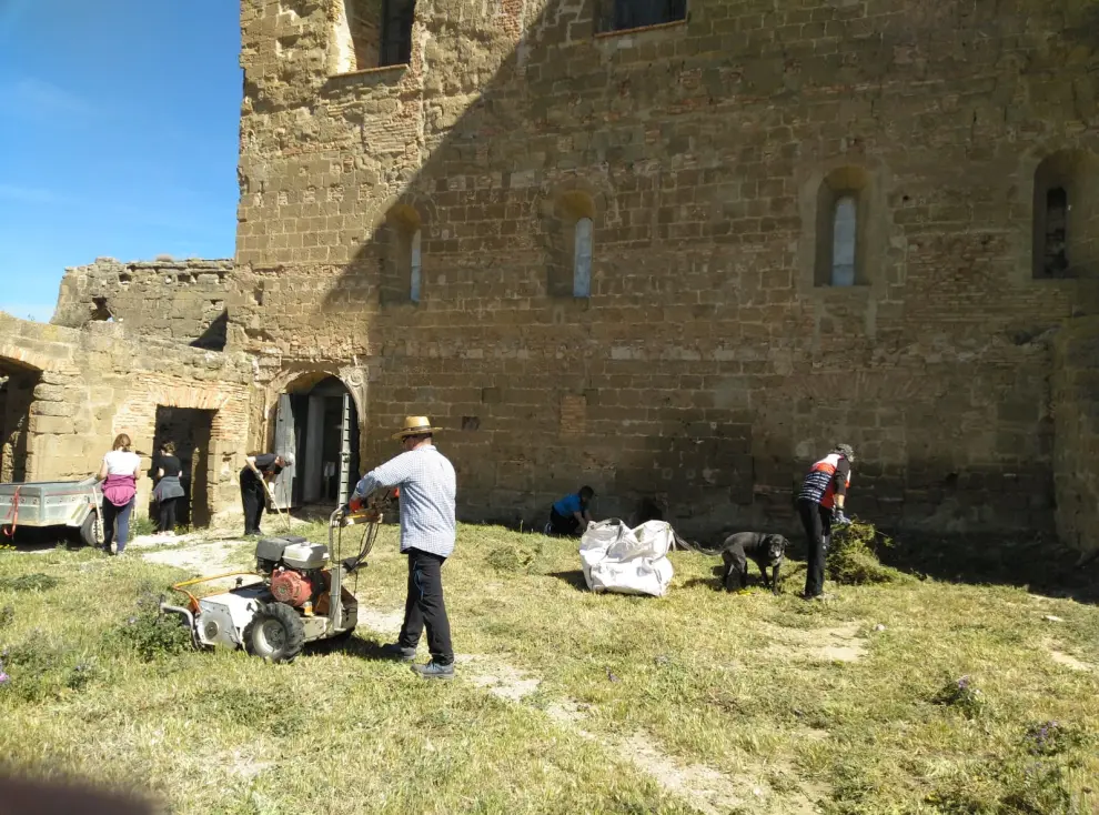 Voluntarios durante las labores del limpieza en el recinto del castillo.