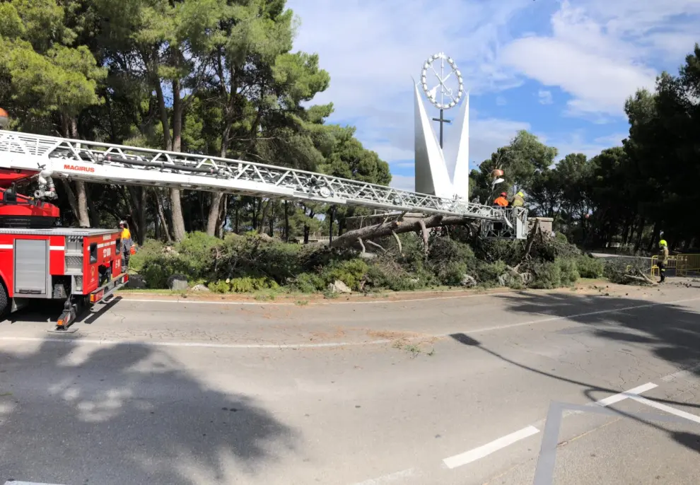 Retiran un árbol caído en el Parque de Atracciones de Zaragoza.