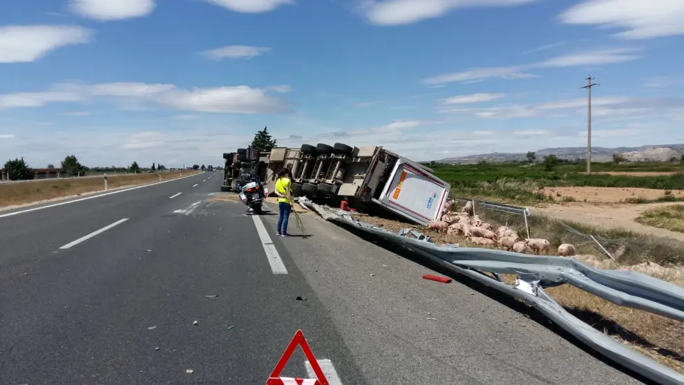 Un camión que transportaba cerdos vuelca en Torres de Berrellén.