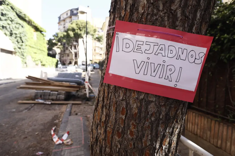 Tala de pinos en la calle de Emilio Solano