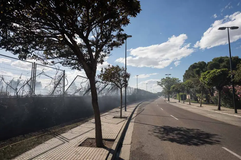 Se trata de un incendio forestal en la calle Marcelino Álvarez del zaragozano barrio de Casablanca, cerca de la Cooperativa de Auto Taxi.