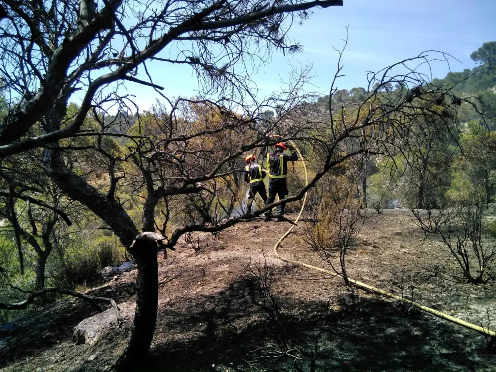 Un incendio calcina casi una hectárea  de bosque en el monte de Fraga.