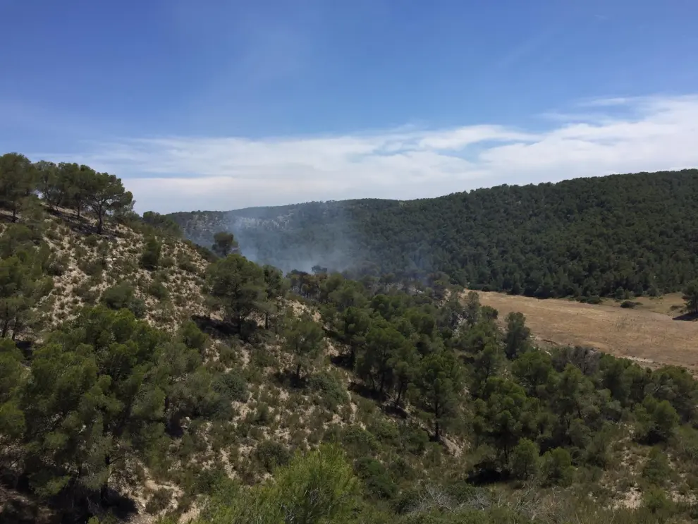 Un incendio calcina casi una hectárea  de bosque en el monte de Fraga.