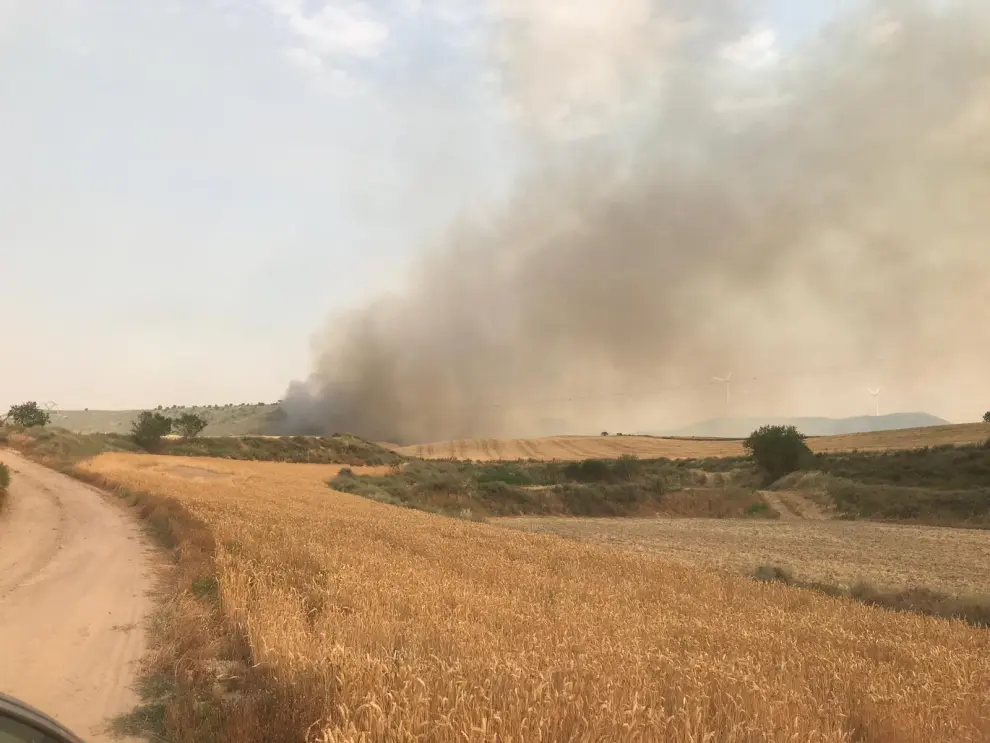 El viento ha dificultado las labores de extinción del incendio de Alcalá de Gurrea.