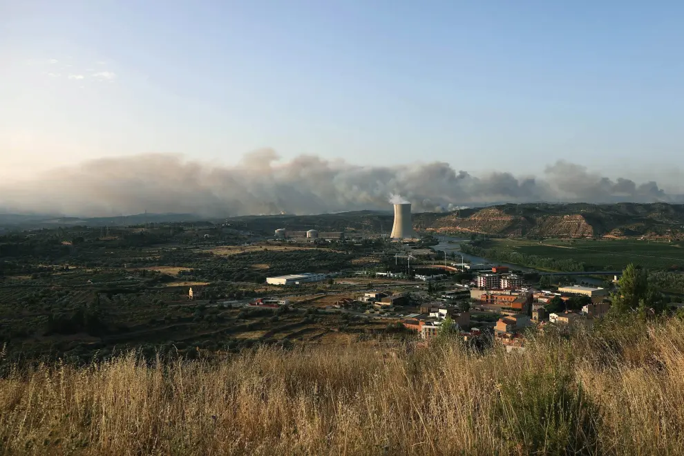 Las llamas han quemado más de 3.500 hectáreas de terreno en la comarca tarraconense de la Ribera del Ebro, entre los pueblos de La Torre de l'Espanyol y Vinebre, a unos 50 kilómetros de Fraga.