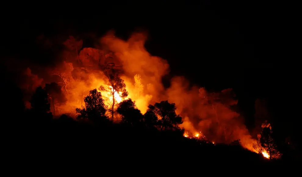Trees burn during a forest fire near Maials, west of Tarragona, Spain, June 27, 2019. REUTERS/Albert Gea [[[REUTERS VOCENTO]]] EUROPE-WEATHER/SPAIN-FIRE