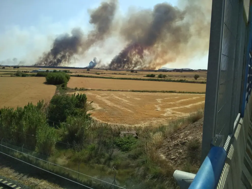 Desalojada la Plataforma Logística de Huesca por la cercanía de un incendio agrícola.