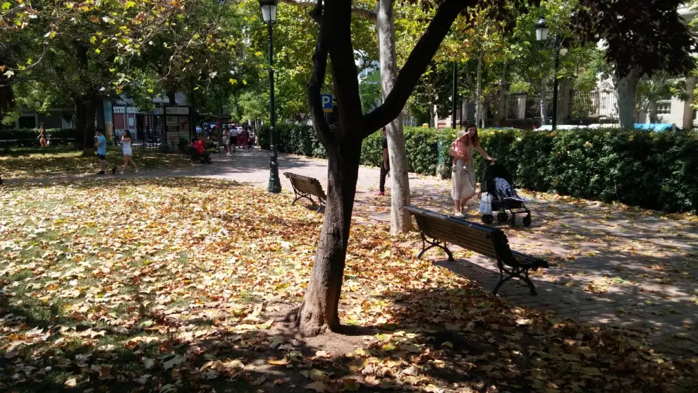 Caída de hojas en la plaza de Los Sitios.